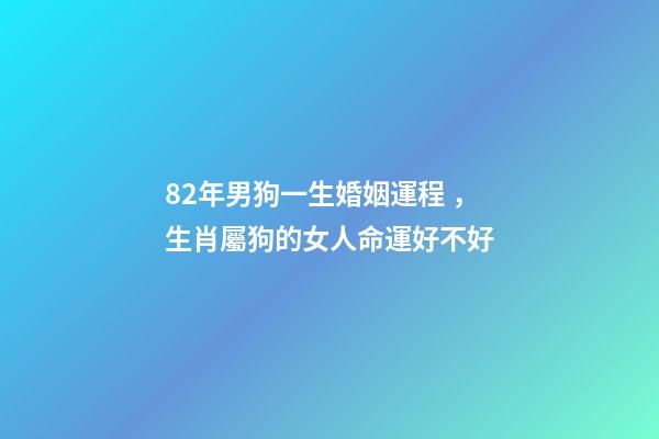 82年男狗一生婚姻運程，生肖屬狗的女人命運好不好